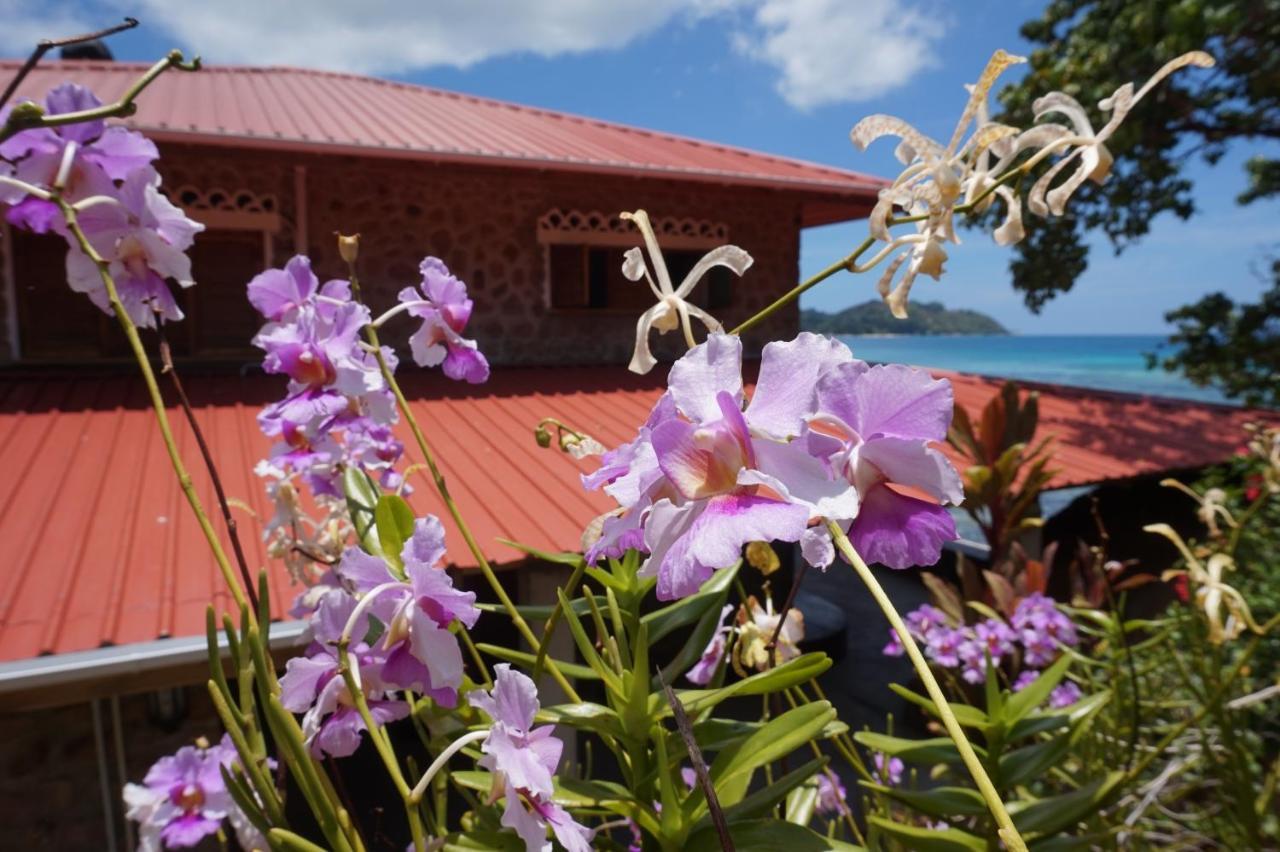 La Saline Villa Anse Volbert Village  Bagian luar foto