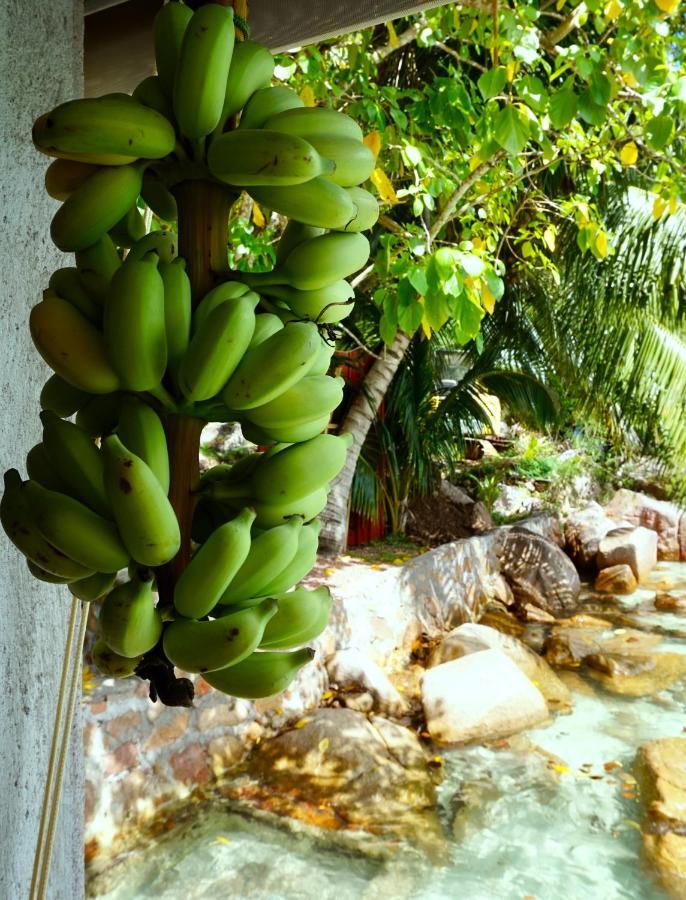 La Saline Villa Anse Volbert Village  Bagian luar foto